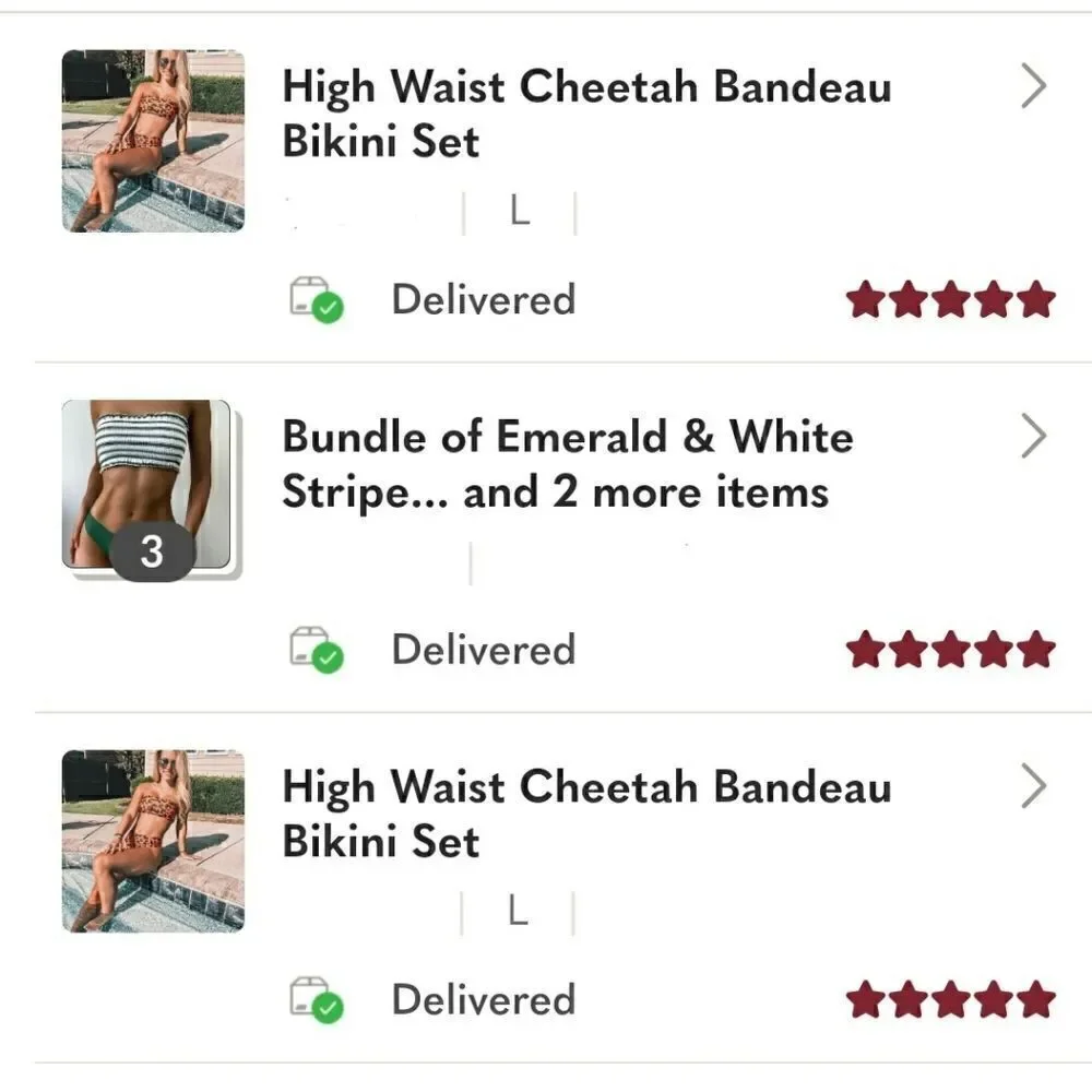 NWT Cheetah Bandeau High Waist Bikini Set - Picture 7 of 7